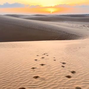 花开人散春梦逝