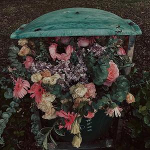 Distant love遥远爱