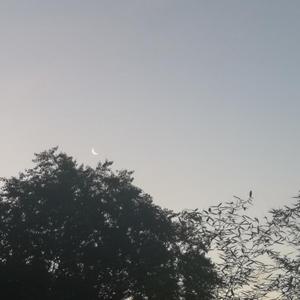 从前慢