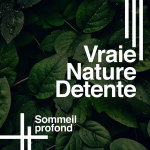 Birds in the Background