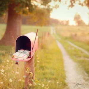 ［树洞版］地址不详