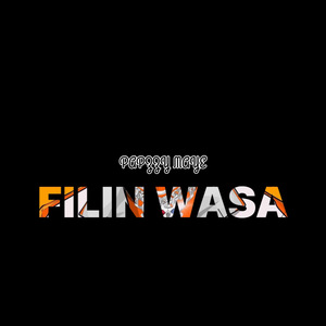 Filin Wasa