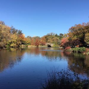 暗恋中的快乐女孩 伴奏