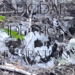 Dissipation