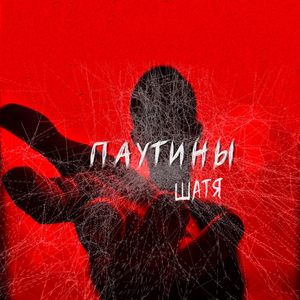 Паутины