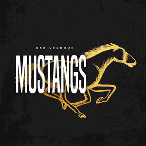 Mustangs