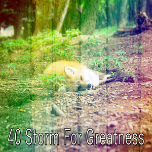 Surround Yourself in Rain