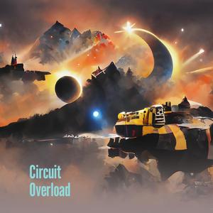 Circuit Overload