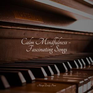 Curl up and Relax