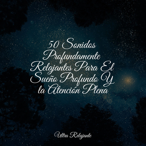 Trascendencia en Movimiento