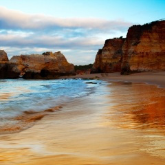 我在想你你在哪