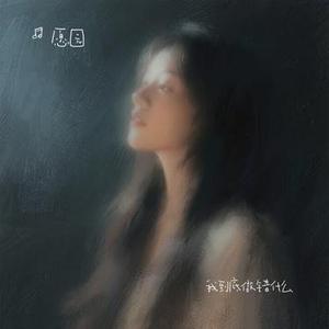 我到底做错什么 (Cover 京六)
