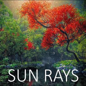Sun Rays