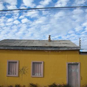 Kuzkuz