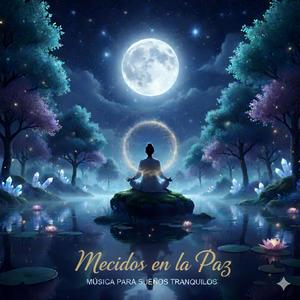 Mecidos en la Paz (Lofi)