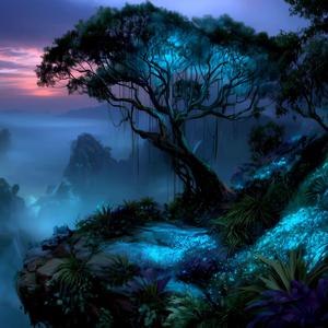 Between Roots and Tides