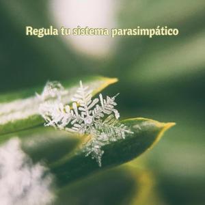 Autoexploración y escritura terapéutica