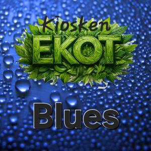 Happy Jims boot-scootin blues