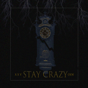 保持疯狂(Stay Crazy)