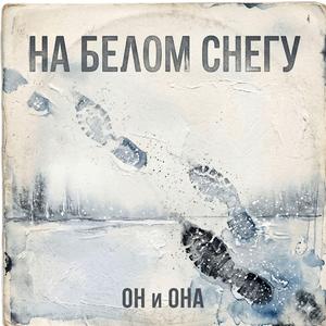 На белом снегу