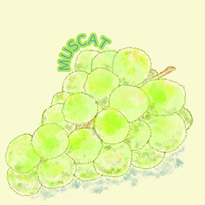 MUSCAT (feat. フリモメン)