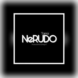 NeRUDO