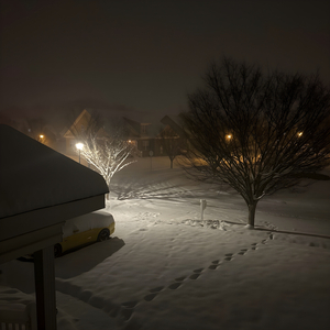 The Gods Have Fallen