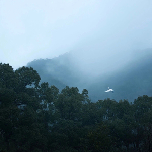 原生丛林里的脚印-demo