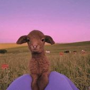 I Hate U I Love U (sped up)