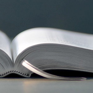 La Santidad En el Matrimonio III