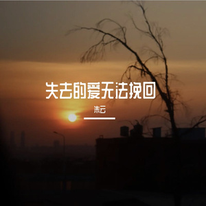 失去的爱无法挽回