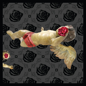 A Bird Under Consideration