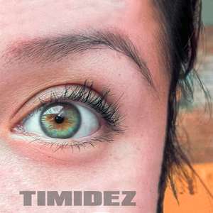 Timidez