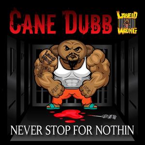 I'll Never Stop For Nothin