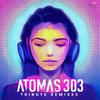 Atomas 303 - Tribute To TB-303 (Remix)