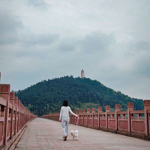 财迷心窍