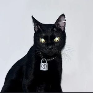 NANA(南京锁会惩罚所有变心的人）