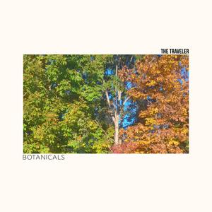 Botanicals