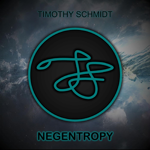 Negentropy