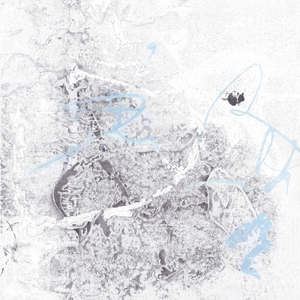 i've been near w/ cleo walks through glass