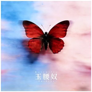 玉腰奴/Butterfly