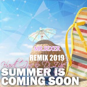 Hard[O]ne & Dj Zigle-Summer is Coming Soon（Mr.***** remix）