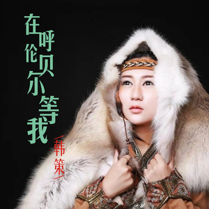 在呼伦贝尔等我
