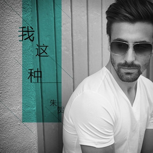 我这种(伴奏)