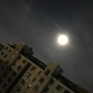 你对我真的很重要