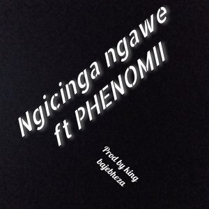 Ngicinga ngawe