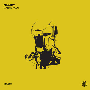 Polarity (Original Mix)