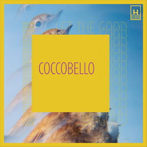 Coccobello