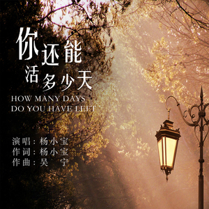 你还能活多少天