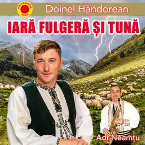 Cine-n tinerete n-o iubit destul